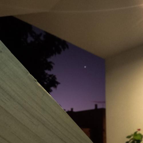 Photo #4552463
