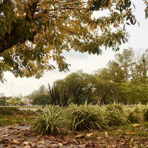 Photo #4553048