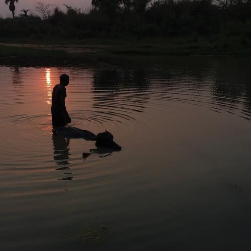 Photo #4553226