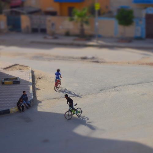 Photo #4553716