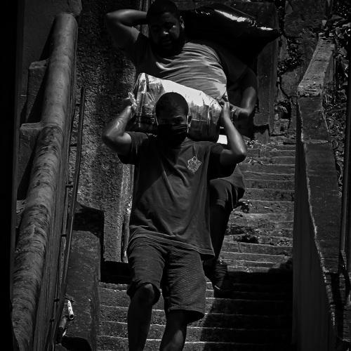 Photo #4553729