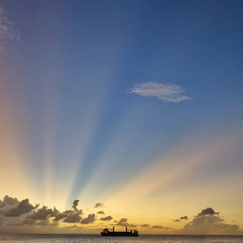 Photo #4553939
