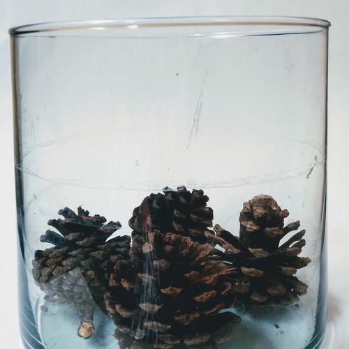 Asegurados