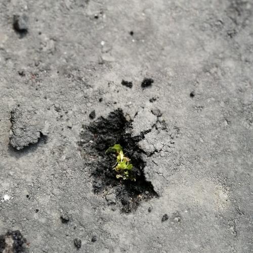 Photo #4554257