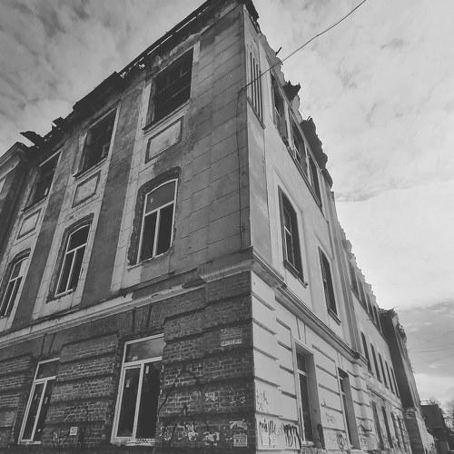 Photo #4554267