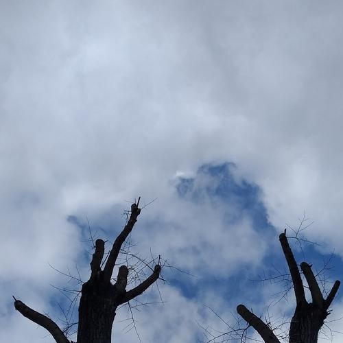 Photo #4554458