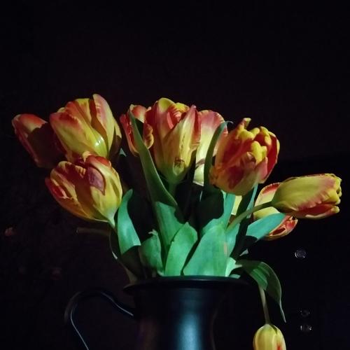 Photo #4554461