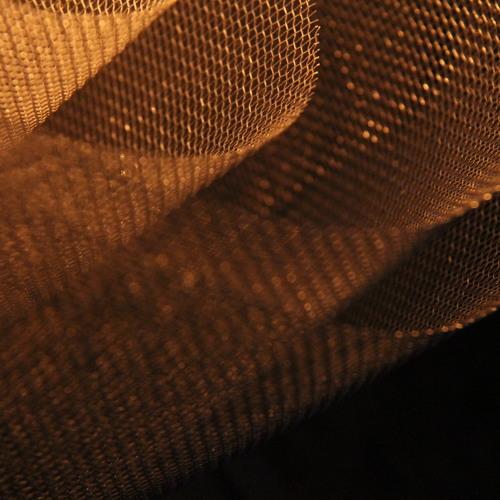 Photo #4554567