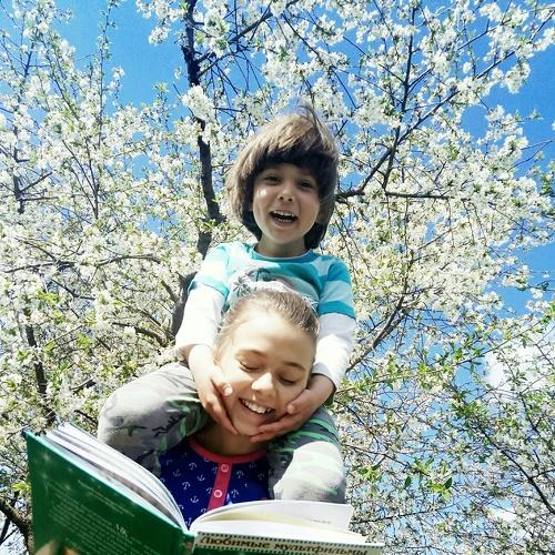 Photo #4555313