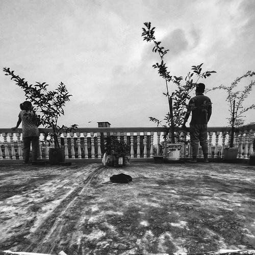 Photo #4555319