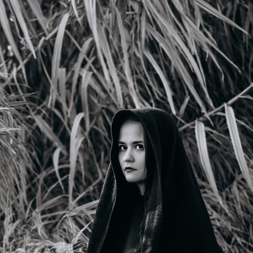 Photo #4556751