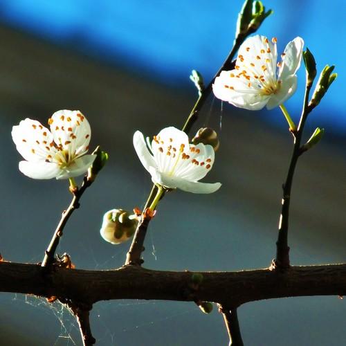Photo #4556816