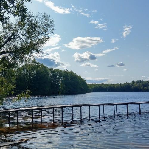 Photo #4556833