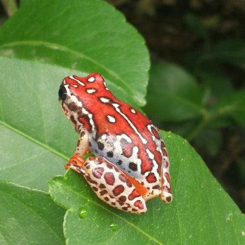 Photo #4556901
