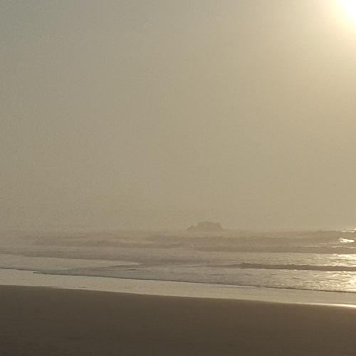 Photo #4557088