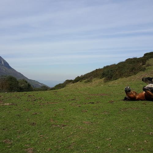 Photo #4557125
