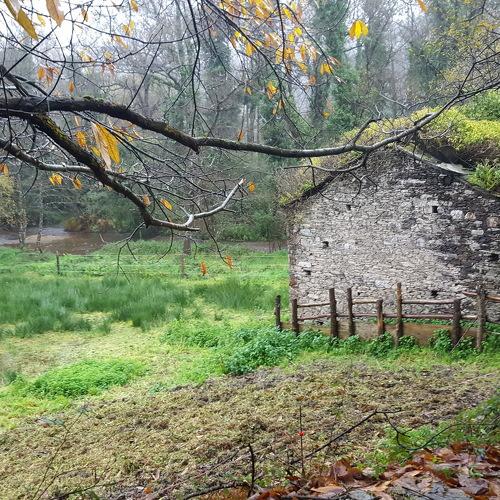 Photo #4557251