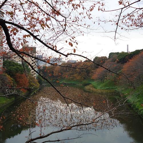 Photo #4557346