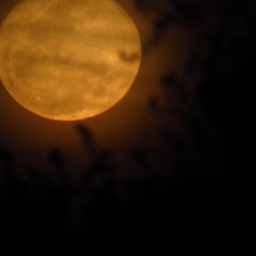Moon's perspectives