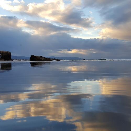 Photo #4557756