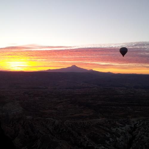 Photo #4557879
