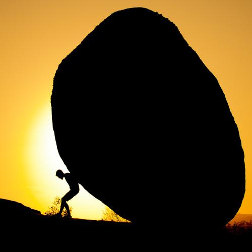 Photo #4557959