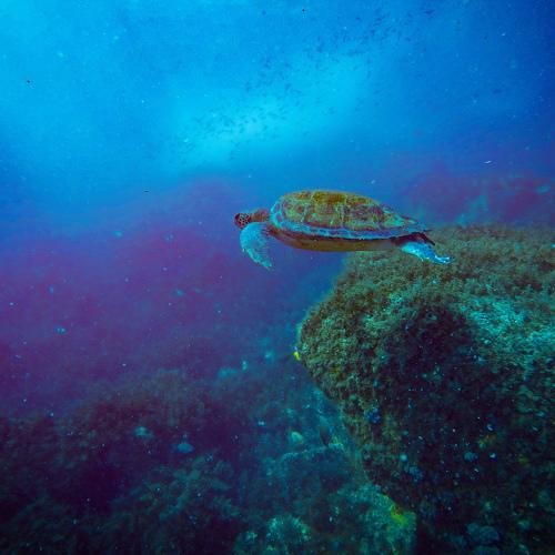Photo #4557975