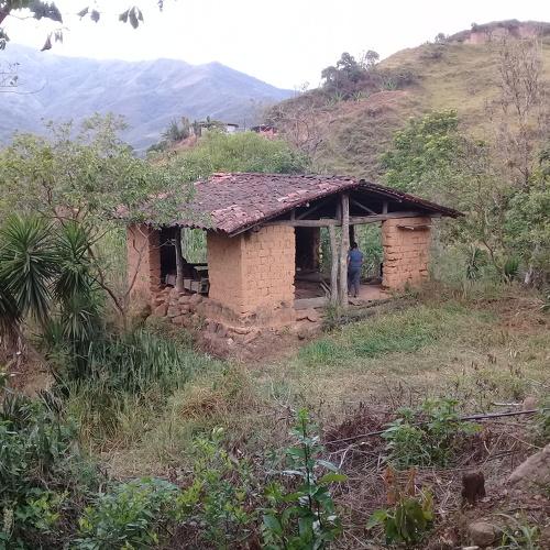 Photo #4558085
