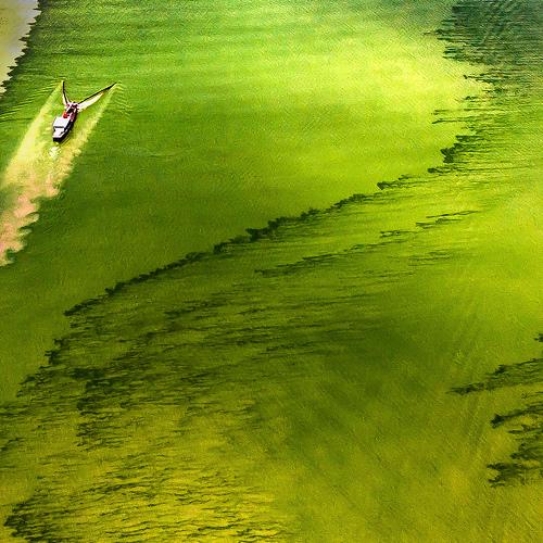 Photo #4558163