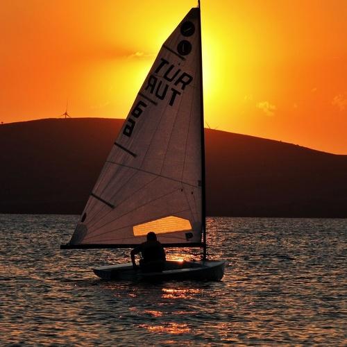 Photo #4558804