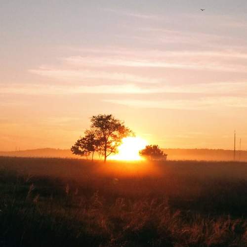 Photo #4558853