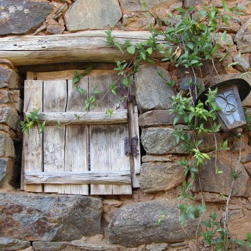 Photo #4559331