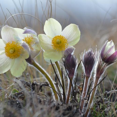 Photo #4559541
