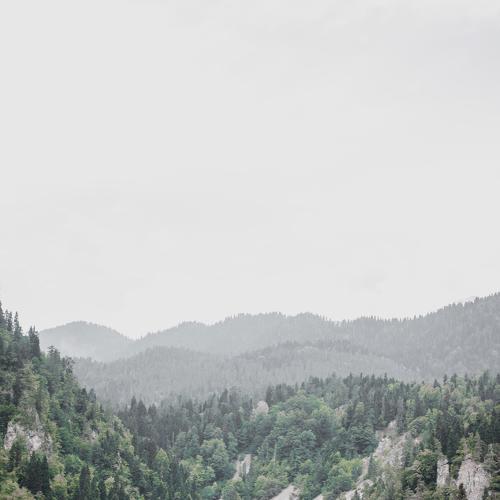 Forest & Mountains