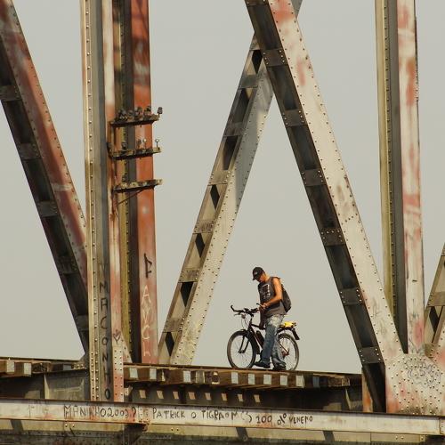 Photo #4560272