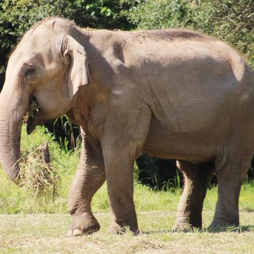 Photo #4560308