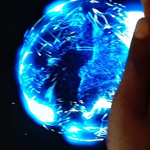 Photo #4560631