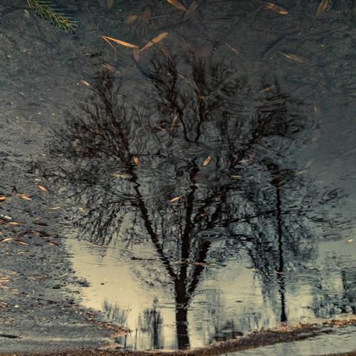 Photo #4560650