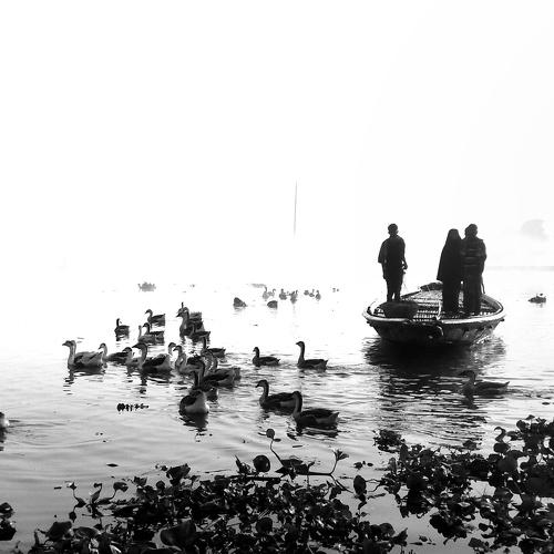 Winter Morning View
