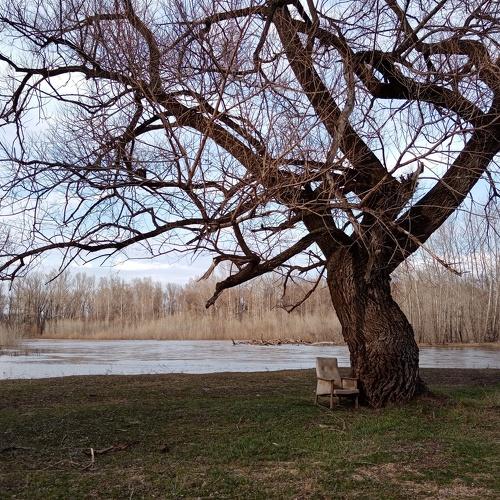 Photo #4561354
