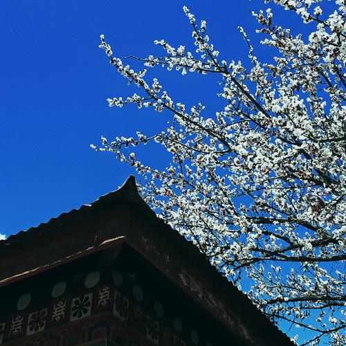 Photo #4561372
