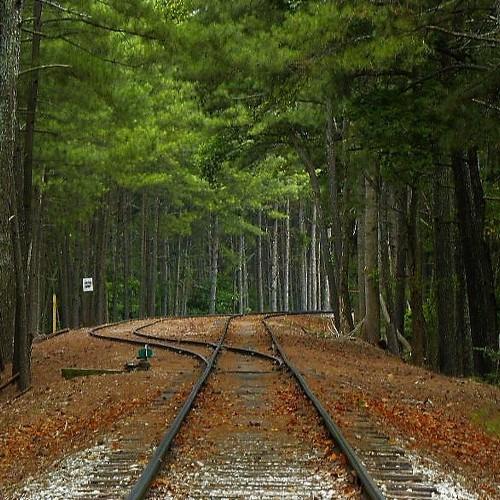 Photo #4561373