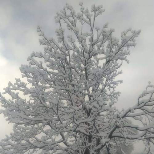 Photo #4561375