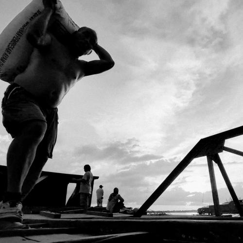 The Stevedore.