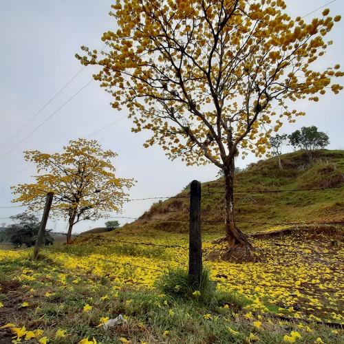 Photo #4561464