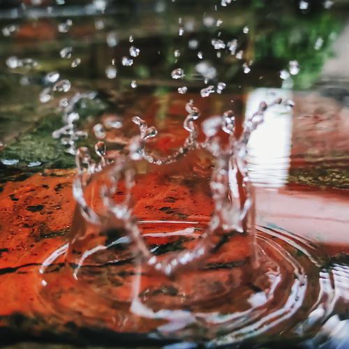 A splash of water.