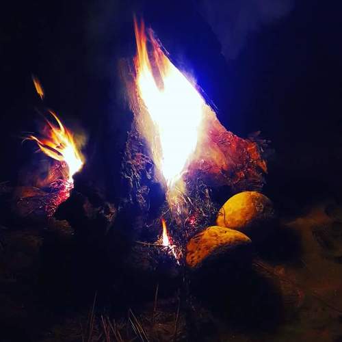 Photo #4561718