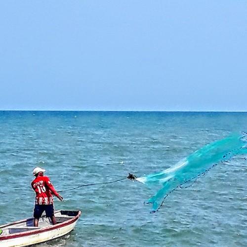Photo #4561928