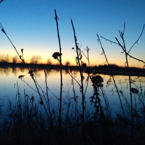 Photo #4562051