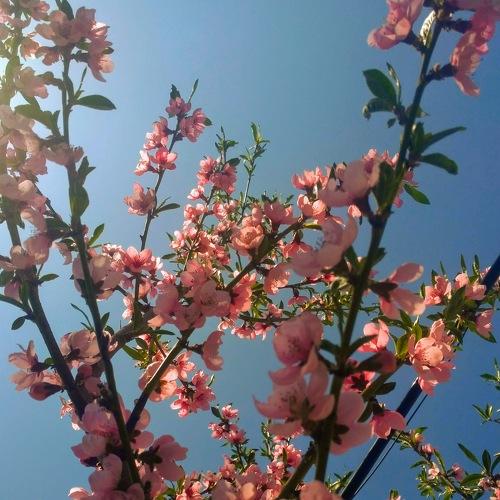 Photo #4562059